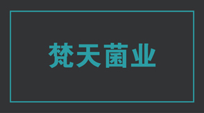 食品行业泰州海陵区工作服设计款式